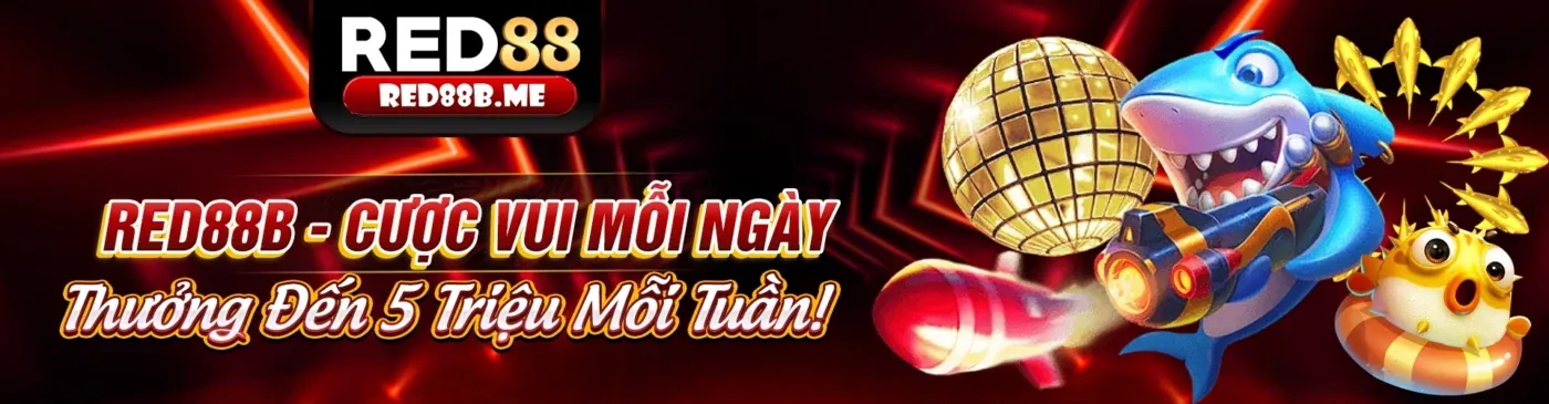 Hình ảnh banner lớn 123zo link mới nhất